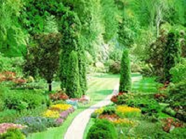 t01fc64f3d6b10c0747.jpg