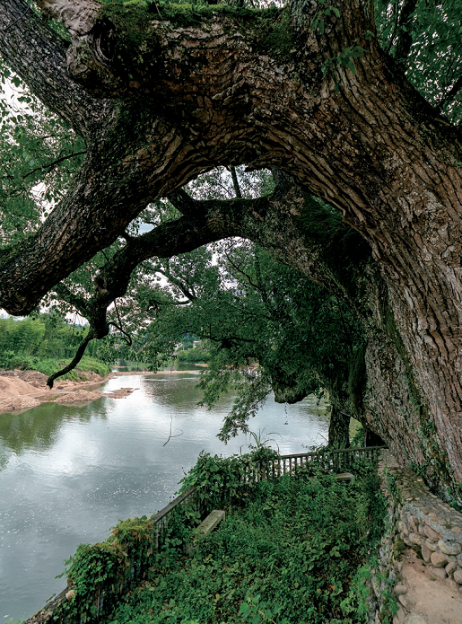 176417369197515.png 图片98.png