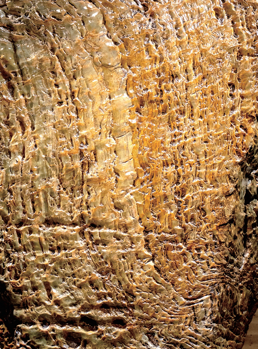 176458476365532.png 图片.png07.png