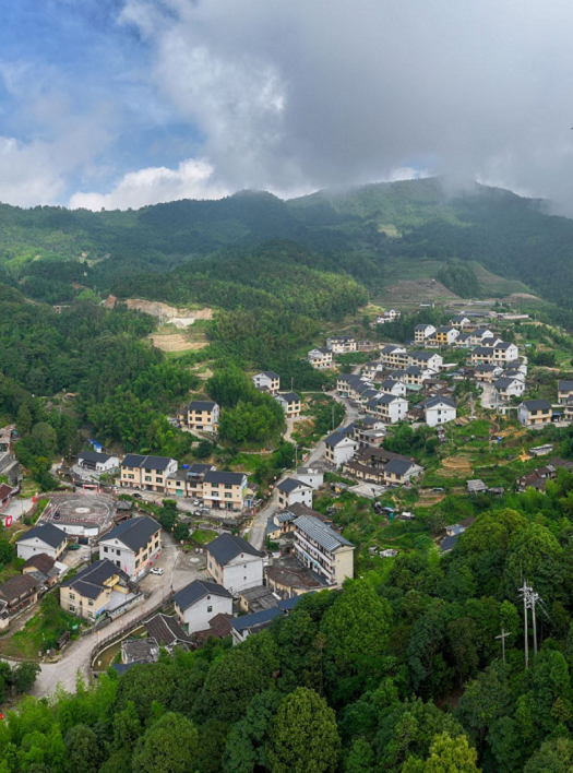 176510022031186.png 图片38.png