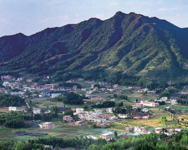 图片59 - 副本.png