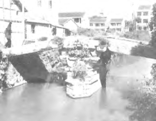 177866835679169.png 图片.png03’.png