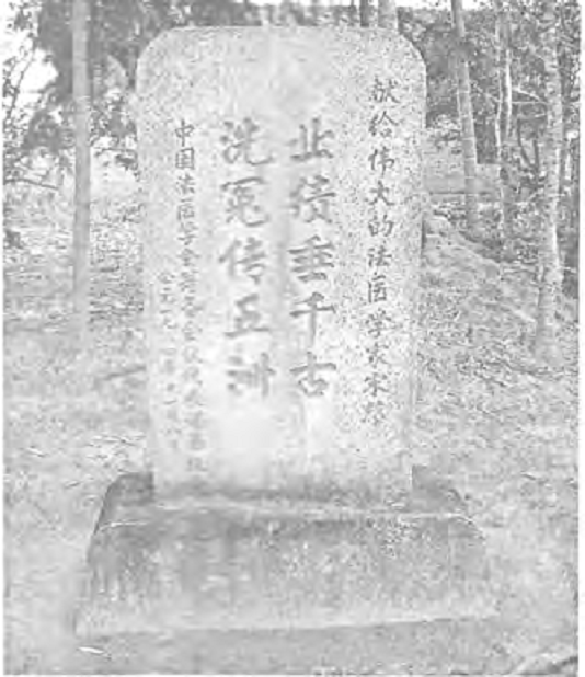 177868026088389.png 图片.png09.png