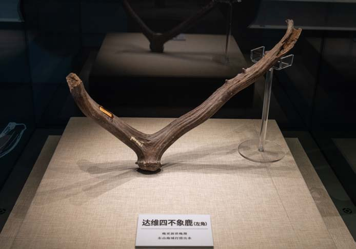 图片.png35.png